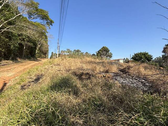 #5 - Terreno para Venda em Ibiúna - SP - 3