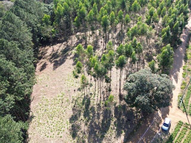 #10 - Terreno para Venda em Ibiúna - SP - 3