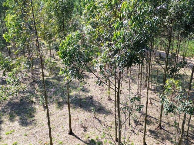 Terreno para Venda em Ibiúna - 4