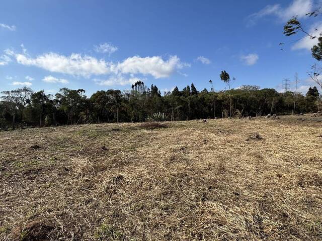 Terreno para Venda em Ibiúna - 5