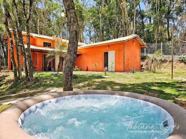 Venda em cupim - Ibiúna